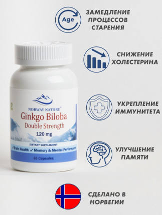 Ginkgo Biloba Double Strength 120 mg 60 caps Norway Nature