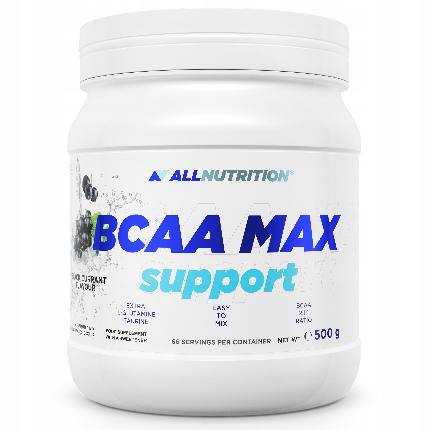 BCAA MAX SUPPORT 500 g AllNutrition