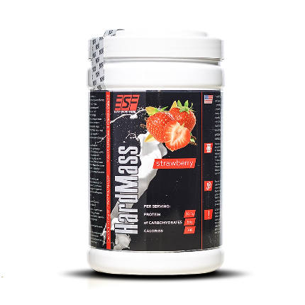 Hard Mass (МАСС 1200 г) Elite Sport Food
